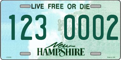 NH license plate 1230002