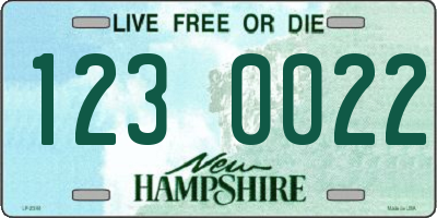 NH license plate 1230022