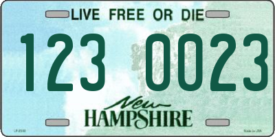 NH license plate 1230023