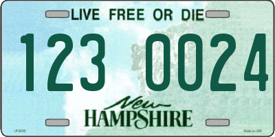 NH license plate 1230024