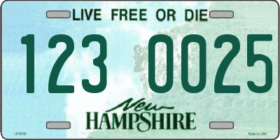 NH license plate 1230025