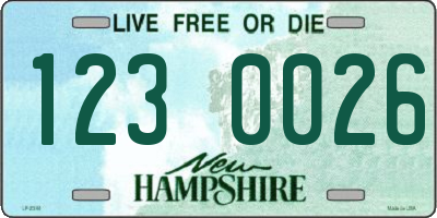 NH license plate 1230026
