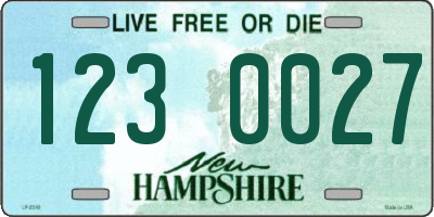 NH license plate 1230027