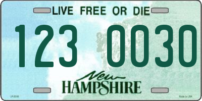 NH license plate 1230030