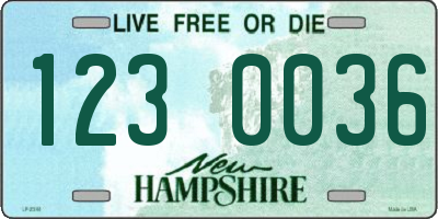 NH license plate 1230036
