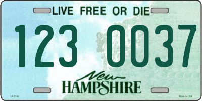 NH license plate 1230037