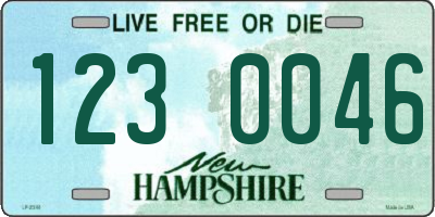 NH license plate 1230046