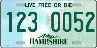 NH license plate 1230052