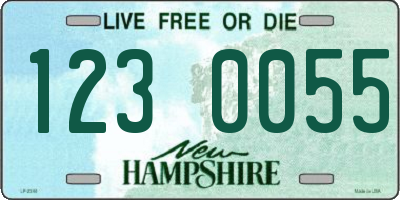 NH license plate 1230055