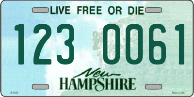 NH license plate 1230061