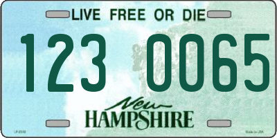 NH license plate 1230065