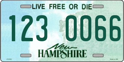 NH license plate 1230066
