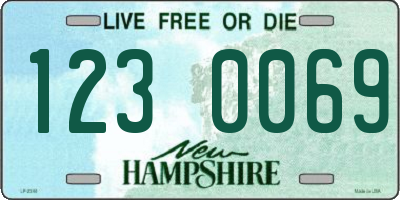 NH license plate 1230069