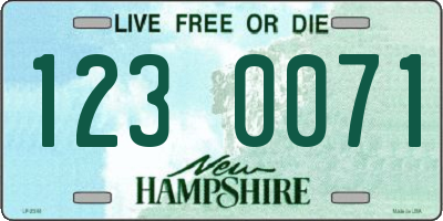 NH license plate 1230071