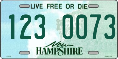 NH license plate 1230073