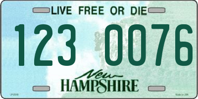 NH license plate 1230076