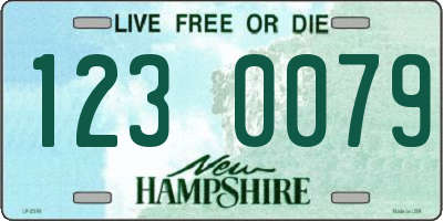 NH license plate 1230079