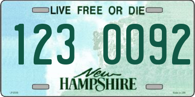 NH license plate 1230092