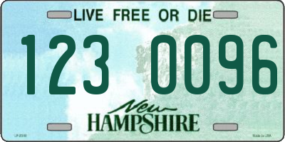 NH license plate 1230096