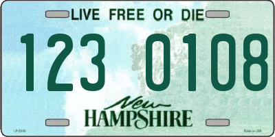 NH license plate 1230108