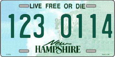 NH license plate 1230114