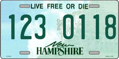 NH license plate 1230118