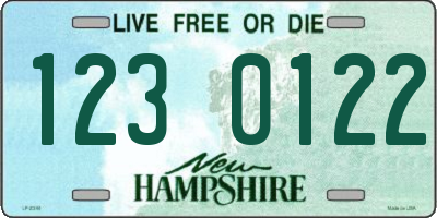 NH license plate 1230122