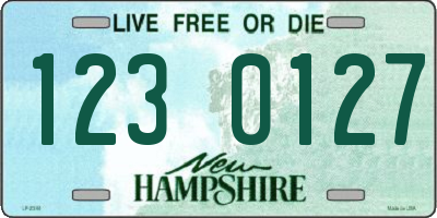NH license plate 1230127