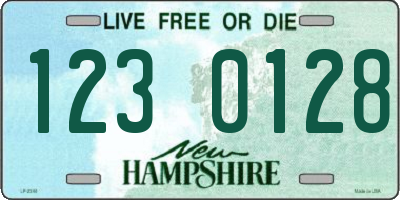 NH license plate 1230128