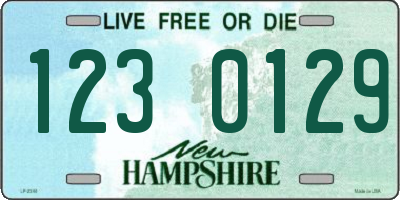 NH license plate 1230129
