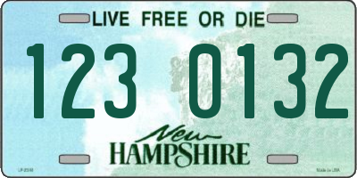 NH license plate 1230132