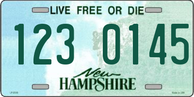 NH license plate 1230145
