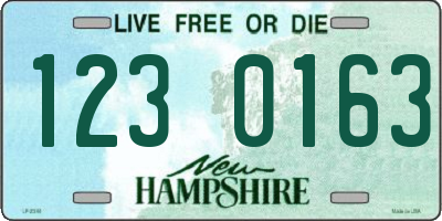NH license plate 1230163