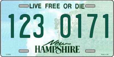 NH license plate 1230171