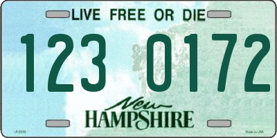 NH license plate 1230172