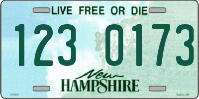 NH license plate 1230173