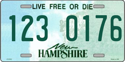 NH license plate 1230176