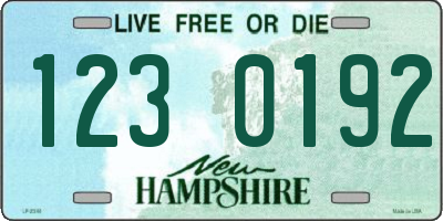 NH license plate 1230192