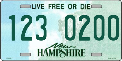 NH license plate 1230200