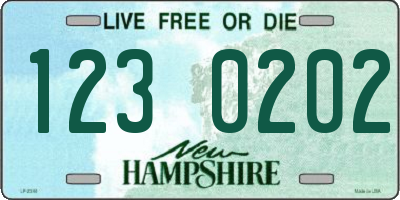 NH license plate 1230202