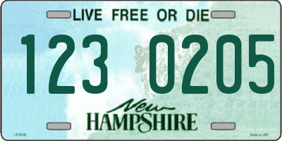 NH license plate 1230205
