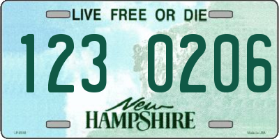 NH license plate 1230206
