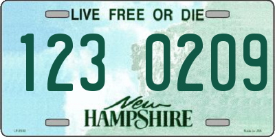 NH license plate 1230209