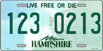 NH license plate 1230213