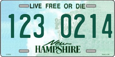 NH license plate 1230214