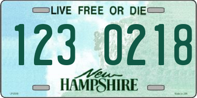 NH license plate 1230218