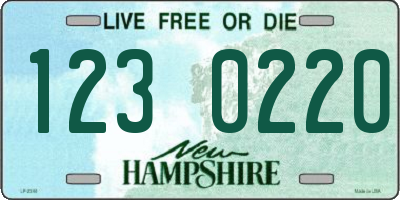 NH license plate 1230220