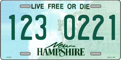 NH license plate 1230221