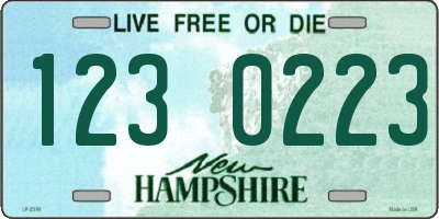 NH license plate 1230223