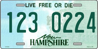 NH license plate 1230224